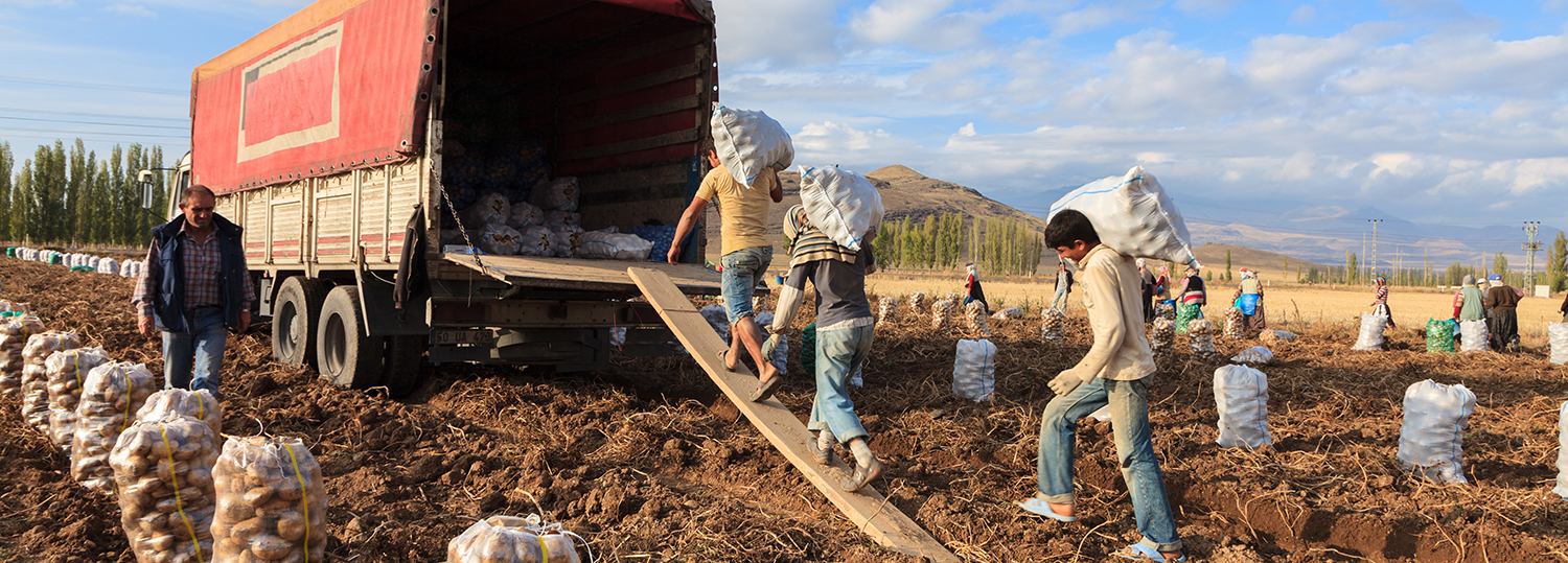 seizoenarbeider in de agrarische productiesector in Anatolia, Develi, Turkije